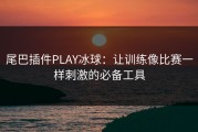 尾巴插件PLAY冰球：让训练像比赛一样刺激的必备工具
