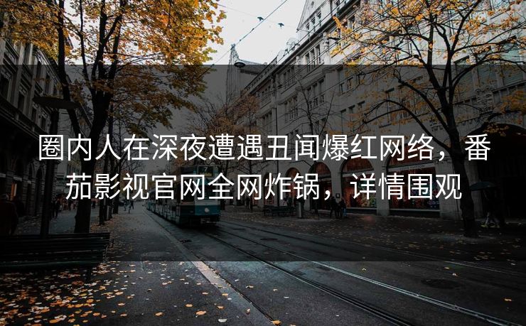 圈内人在深夜遭遇丑闻爆红网络，番茄影视官网全网炸锅，详情围观