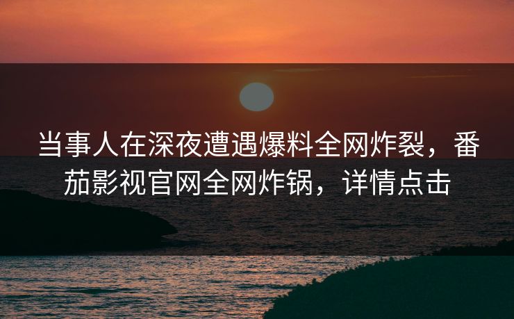 当事人在深夜遭遇爆料全网炸裂，番茄影视官网全网炸锅，详情点击